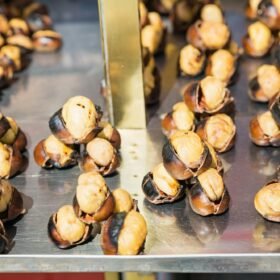 grilled chestnuts for sale on the street. Street fast food.